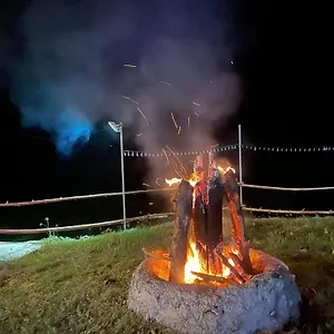 Jush Native And Glamping , Dauis Philippines